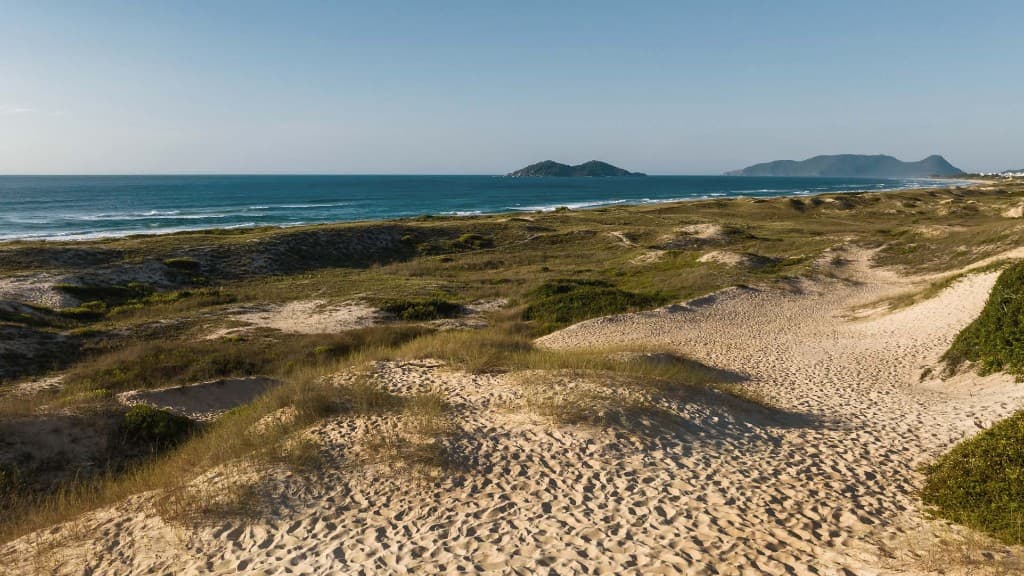 Dunas e vista do mar na Praia do Campeche, Florianópolis